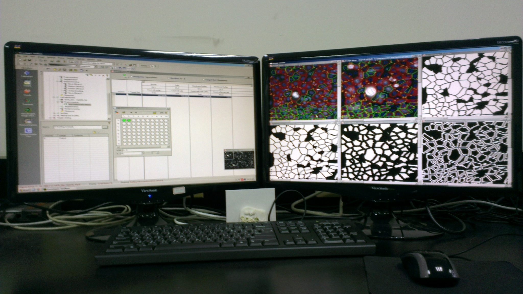 GE Healthcare Investigator