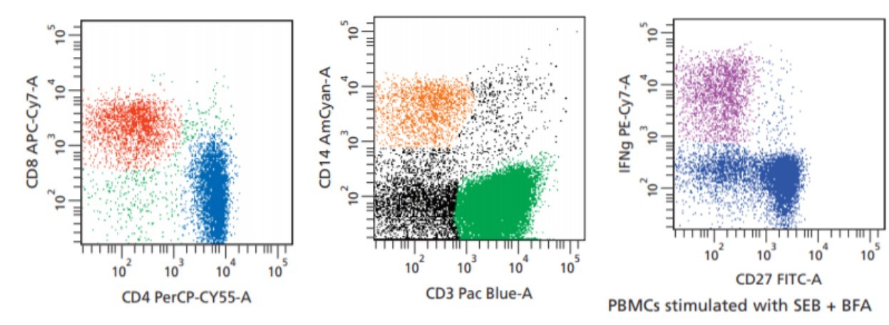 DATA2